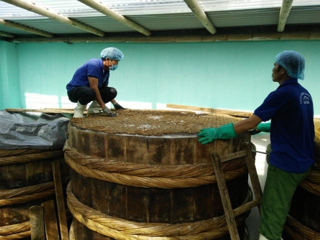 Phương pháp ủ nén gài truyền thống trong thùng gỗ tại cơ sở làm mắm Lê Gia. Ảnh: baothanhhoa.vn