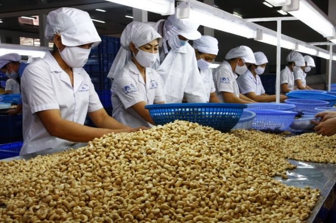 Việt Nam lần đầu nhập siêu hạt điều (ảnh: TL)