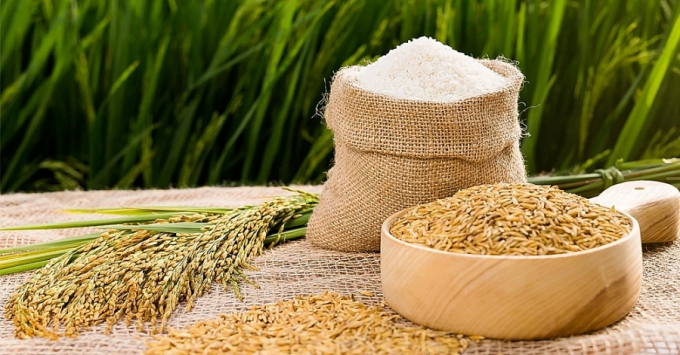 Các loại gạo đặc sản được thị trường EU ưa chuộng