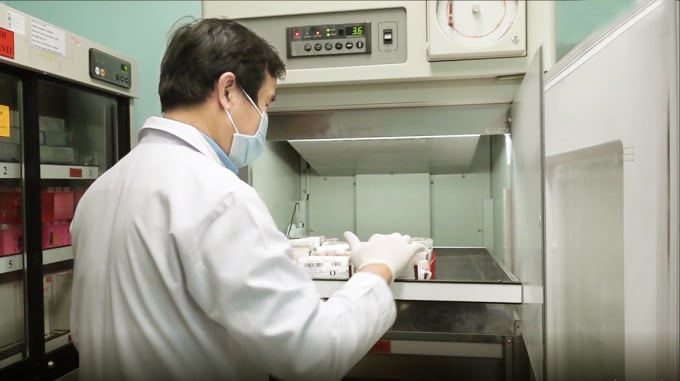 Lượng máu dự trữ của ngân hàng máu ở Bệnh viện Đa khoa Đồng Nai chỉ còn 1/3 so với trước