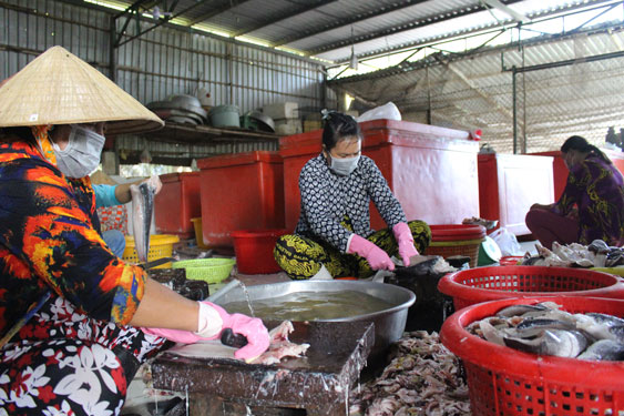 Cơ sở ở huyện Chợ Mới, tỉnh An Giang tất bật sản xuất khô theo cách truyền thống để kịp cung ứng ra thị trường dịp Tết .Ảnh: KỲ ĐỒNG