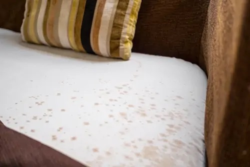 Nếu vỏ bọc sofa bằng nhựa hay da, bạn có thể làm sạch bằng chất tẩy.