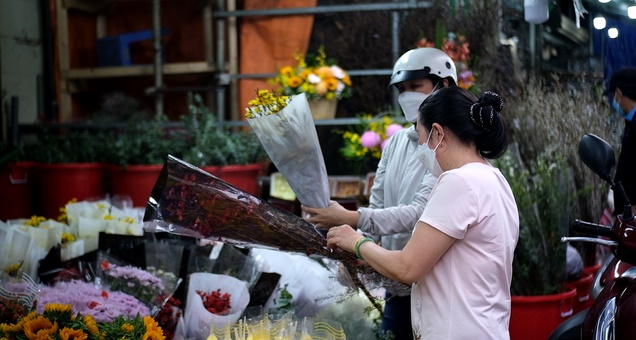 Giá hoa hồng Đà Lạt tăng kỷ lục trước ngày Valentine. Clip: Hoàng Trang.
