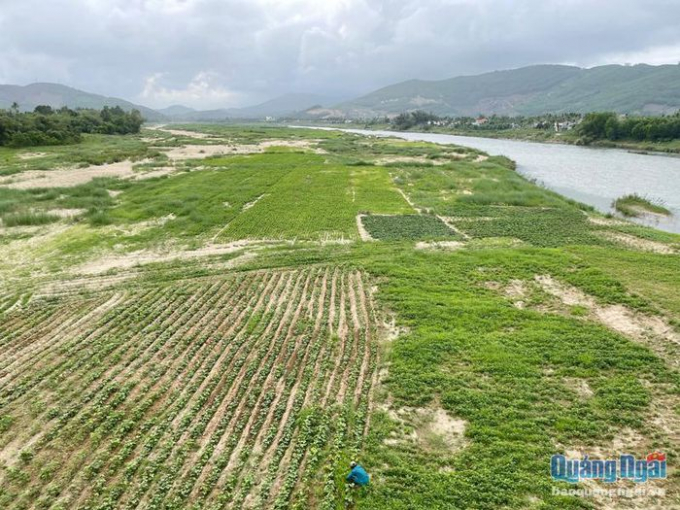 Khu vực sông Vệ thuộc thôn Xuân Đình, xã Hành Thịnh (Nghĩa Hành) sẽ đấu giá khai thác cát.