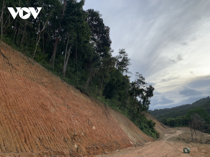 Quá trình làm hồ sơ chuyển đổi rừng cho gói thầu Đ41, dự án đường Trường Sơn Đông, cơ quan chức năng tỉnh Đắk Lắk đã xác định trữ lượng gỗ là hơn 260m3.