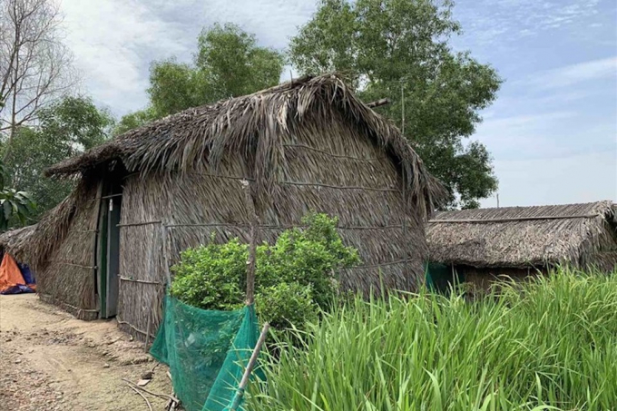 Cảnh người dân sống tạm bợ khi dự án Khu dân cư Sinh thái và Nhà vườn Sen Việt triển khai gần 10 năm đến nay hoang hóa. (Ảnh: Lao Động)