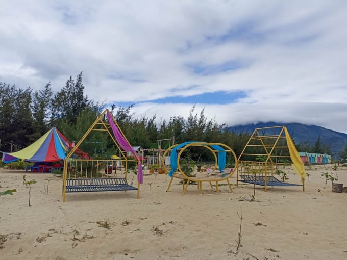 Khu sinh thái tại bãi biển Kim Liên. Ảnh: BT