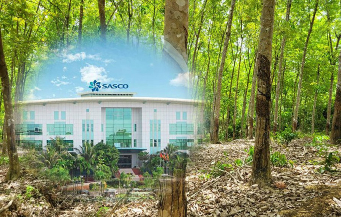 Dự án trồng cây trên đất rừng của Sasco.