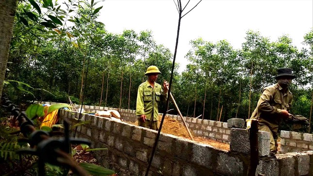 Một công trình được xây dựng cấp tốc ở địa bàn huyện Vĩnh Linh trên khu vực trồng cây tràm