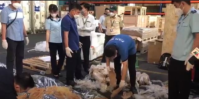 Thu giữ gần 45kg bong bóng cá sủ quý hiếm