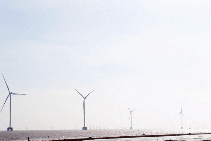 Buộc ngưng thi công đường dây điện gió cắt ngang luồng tàu cửa sông Hàm Luông