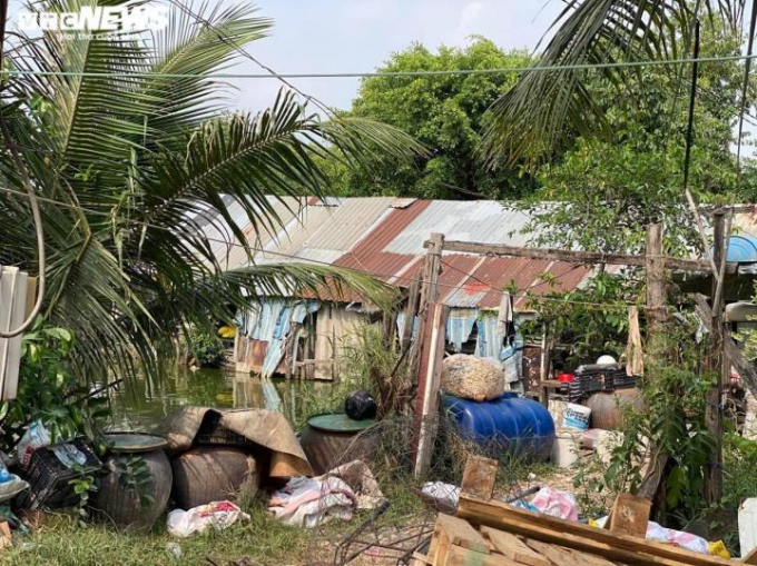 Mùa mưa sắp đến, người dân tại đây lại sắp phải đối mặt với nỗi lo nước ngập, nhà dột, côn trùng hoành hành.