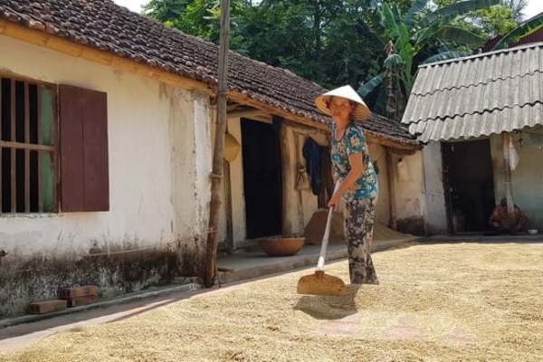 Sai phạm gần 27 tỷ trong hỗ trợ thoát nghèo, tỉnh Quảng Ngãi yêu cầu thu hồi. Ảnh minh họa