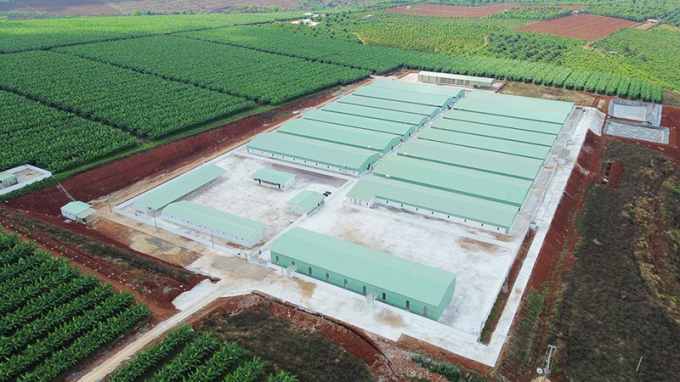 Trang trại quy mô lớn được xây dựng trái phép trên đất nông nghiệp. Ảnh: LÊ KIẾN