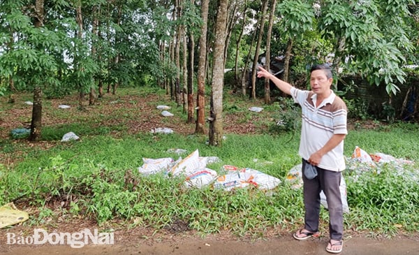 Hiện trường vườn cao su cùng đối tượng Nguyễn Sơn Lâm