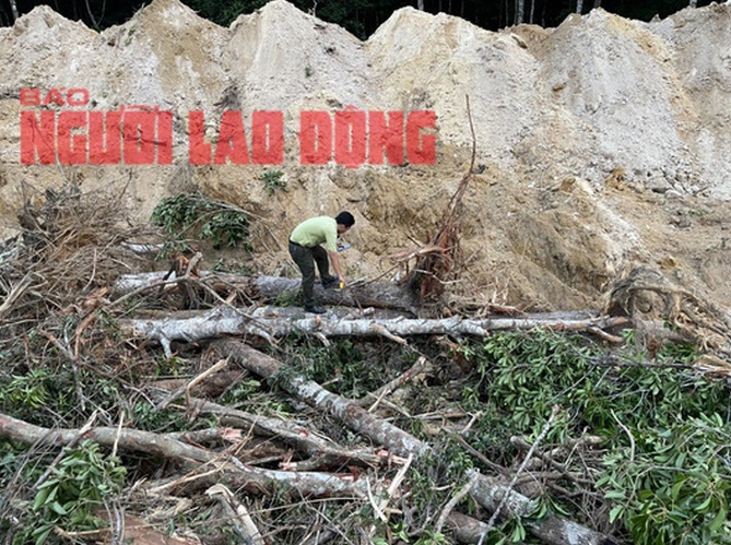 Nhóm đối tượng dùng xe cuốc để phá rừng