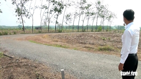 Một khu đất nông nghiệp tại huyện Xuyên Mộc (Bà Rịa - Vũng Tàu) bị san phẳng, chặt bỏ cây trồng và đóng cọc, làm đường - Ảnh: ĐÔNG HÀ