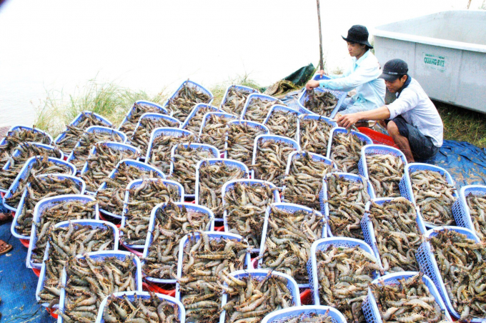 Sản phẩm thủy sản của Việt Nam đang có nhiều lợi thế cạnh tranh ở thị trường EU nhưng tỷ trọng vẫn còn thấp CÔNG HÂN