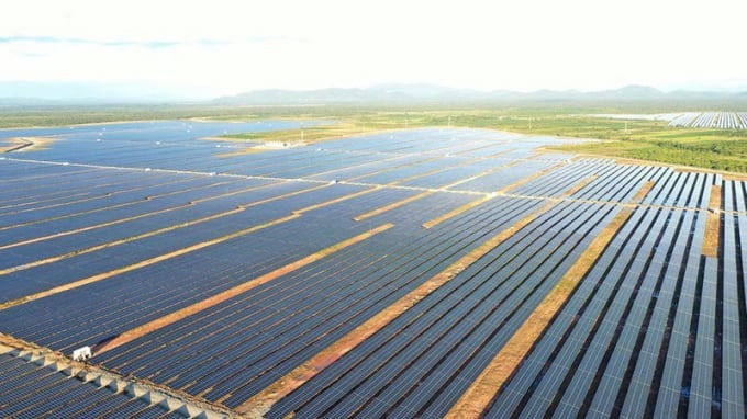 Nhiều nhà máy điện mặt trời đã bị xử phạt vi phạm hành chính cho hành vi bàn giao đưa hạng mục công trình xây dựng vào sử dụng khi chưa có văn bản chấp thuận kết quả nghiệm thu của cơ quan nhà nước có thẩm quyền theo quy định