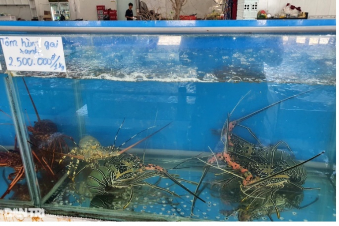 Một loại tôm hùm ở quán C.S. có giá 2.500.000 đồng/kg.