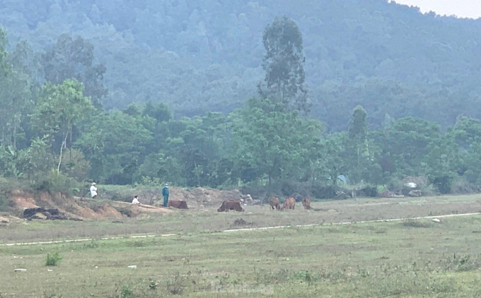 Ông Nguyễn Xuân Dinh - Phó Chủ tịch UBND huyện Quỳnh Lưu cho biết, người dân nêu nhiều lý do không di dời đến khu tái định cư, bởi thế chính quyền địa phương cũng không còn cách nào khác. Để tránh lãng phí quỹ đất, huyện Quỳnh Lưu đang trình tỉnh Nghệ An nhằm xin chủ trương chuyển đổi mục đích sử dụng để đấu giá.