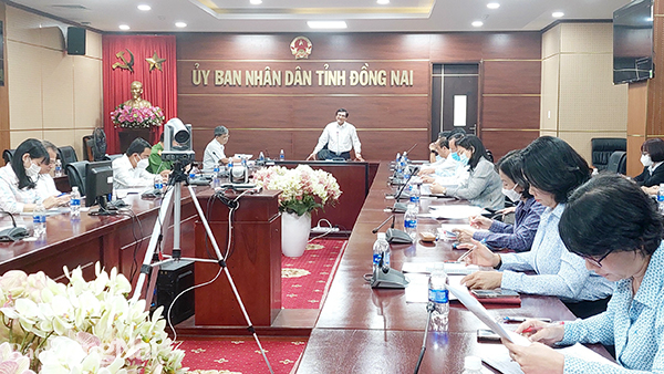 Phó chủ tịch UBND tỉnh Nguyễn Sơn Hùng kết luận tại cuộc họp