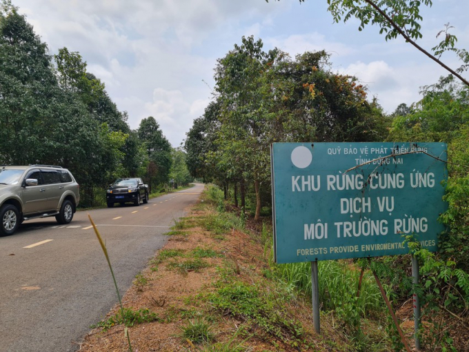 UBND tỉnh Đồng Nai không đồng ý về phương án xây dựng cầu Mã Đà và làm đường xuyên Khu bảo tồn thiên nhiên. Ảnh: VH.