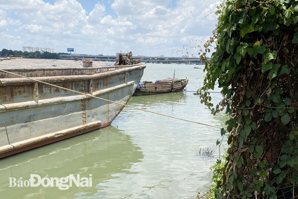 Khu vực bờ sông Đồng Nai xảy ra vụ đuối nước khiến 2 thiếu niên tử vong sáng 25-3 tại P.Hóa AnTP.Biên Hòa). Ảnh: CTV