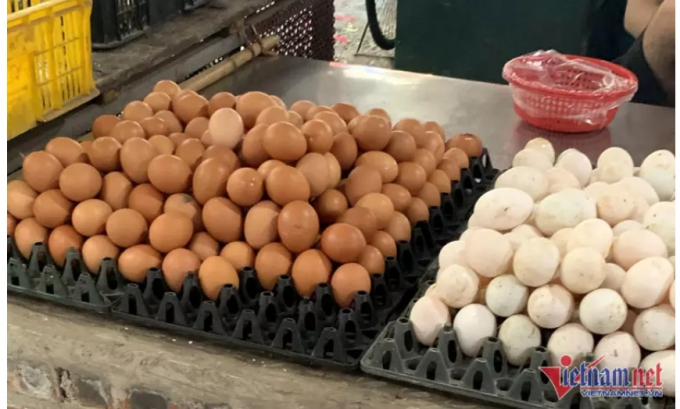 Giá trứng gia cầm tại khu vực phía Nam tăng mạnh (ảnh: BH)
