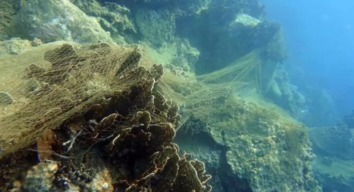 Lưới đánh cá của ngư dân quấn vào các rạn san hô tại Khu Bảo tồn biển vịnh Nha Trang .Ảnh: KIM ANH