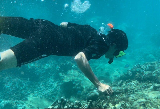 Rạn san hô dưới đáy biển Hòn Mun bị suy giảm nghiêm trọng. Ảnh L.H