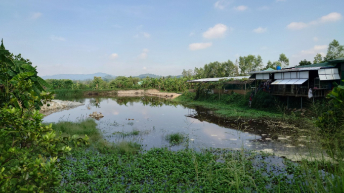 Hồ chứa nước ô nhiễm môi trường trong trang trại nuôi heo của Công ty Huỳnh Gia Phúc ở huyện Tân Phú. (Ảnh: Sở TM&MT Đồng Nai).