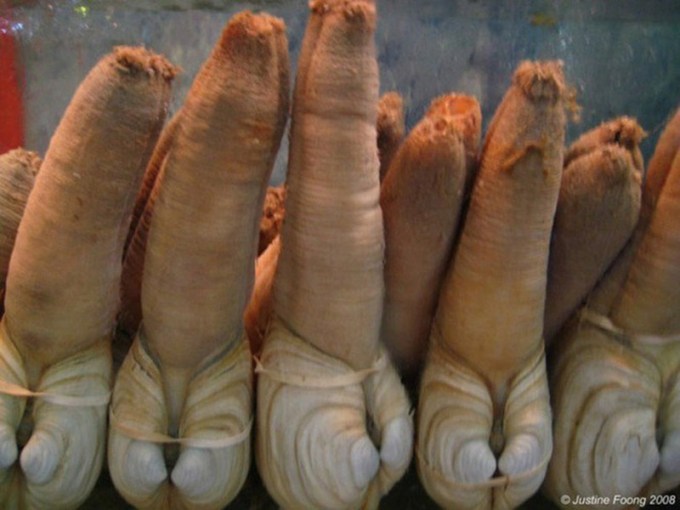 loai-hai-san-nhin-nguong-do-mat-o-viet-nam-650000kg-duoc-vi-nhu-than-duoc-hinh-2