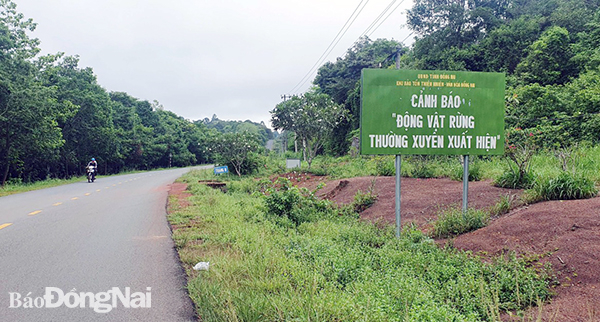 Bộ GT-VT kiến nghị Chính phủ nghiên cứu bổ sung phương án kết nối tỉnh Bình Phước với đường Vành đai 4-TP.HCM không qua cầu Mã Đà để tránh gây ảnh hưởng đến Khu dự trữ sinh quyển thế giới Đồng Nai