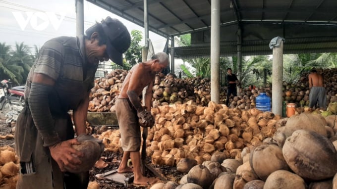 Đối với trái dừa khô vùng ĐBSCL đang dội hàng, rớt giá thê thảm.