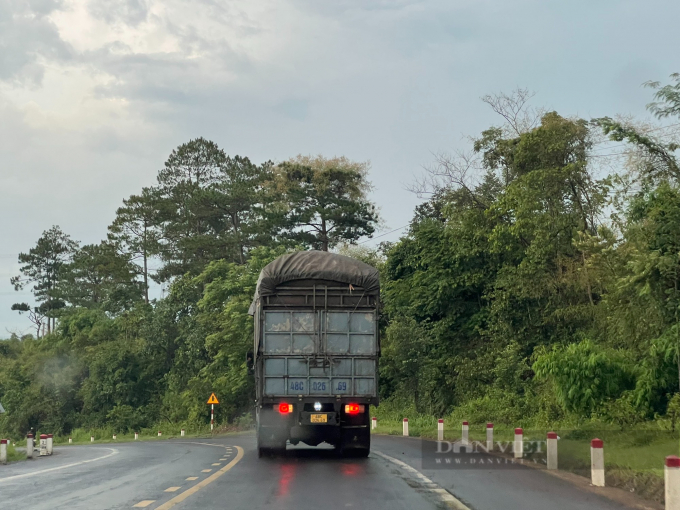 Phương tiện có dấu hiệu cơi nới thành thùng vô tư lưu thông trên QL14 dù có 2 đến 3 đội CSGT làm nhiệm vụ - Ảnh: Ngọc Giàu