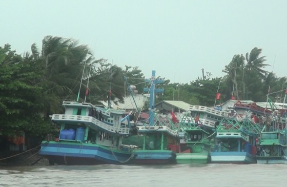 Toàn bộ tàu thuyền ở đảo Phú Quốc đều đã vào bờ tránh trú bão. Ảnh: QUỐC BÌNH