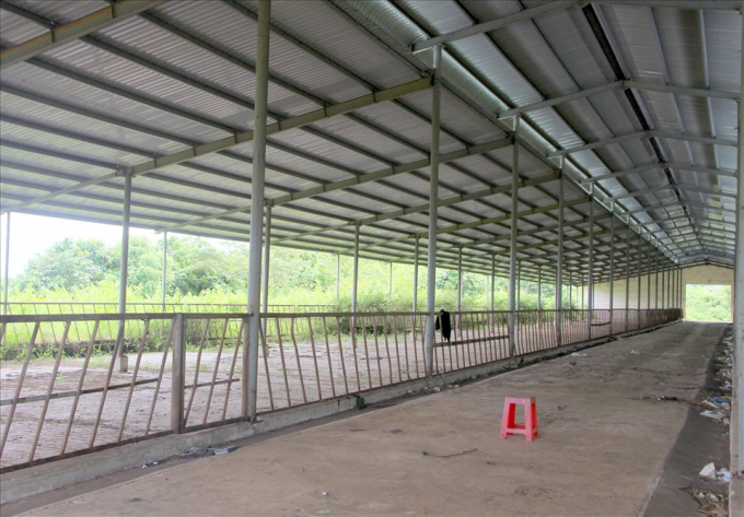 Dự án nuôi bò của Công ty Cổ phần Tập đoàn Đức Long Gia Lai