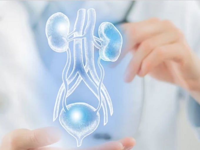 Bệnh tiểu đường sẽ gây ra một số biến chứng ở bàng quang, khiến người bệnh đi tiểu thường xuyên hoặc tiểu không tự chủ SHUTTERSTOCK