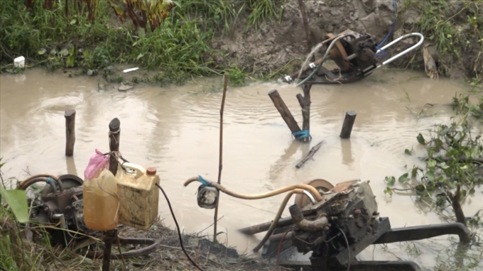 Nông dân Bạc Liêu tích cực bơm tát nước để giảm thiệt hại ruộng lúa hè thu. Ảnh: Văn Sỹ