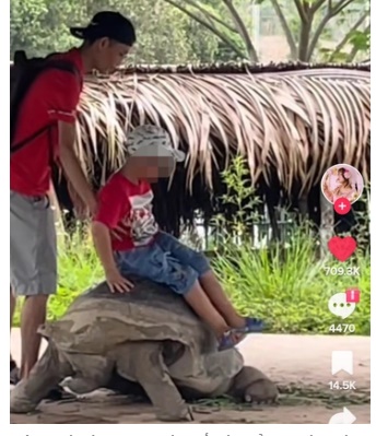 Một người lớn trong nhóm bế đứa trẻ qua hàng rào và đặt lên lưng rùa. Ảnh: Phuong Min.