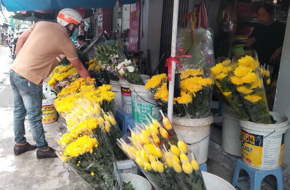 Giá hoa cúc dịp này tăng gấp đôi bình thường - Ảnh: N.TRÍ