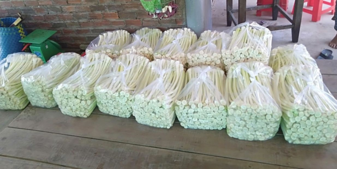 Với ruộng bồn bồn rộng 3 ha, mỗi ngày anh Lạc bán từ 80 - 100 kg