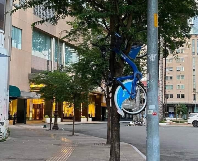 Hình ảnh chiếc xe đạp bị treo ngược cành cây vừa phản cảm, vừa...tức cười FB