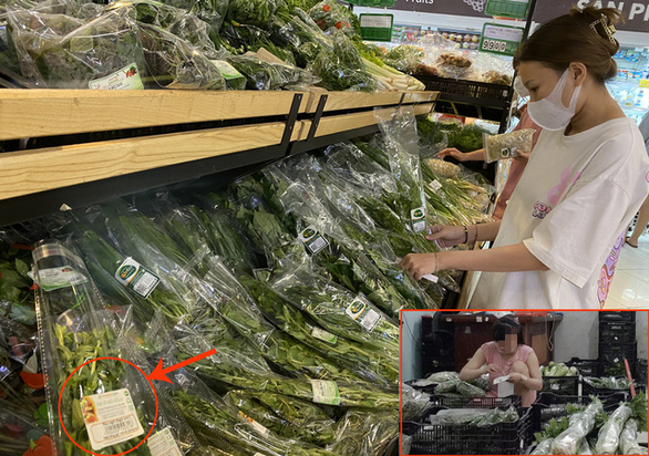 Rau củ được Công ty Trình Nhi mua ở chợ, sơ chế, dán nhãn VietGAP rồi bán cho siêu thị Winmart - Ảnh: BÔNG MAI