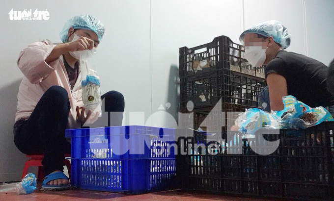 Công nhân thay bao bì nấm hải sản xuất xứ Trung Quốc thành nhãn “Tươi ngon” của thương hiệu Đông A (Việt Nam) - Ảnh: BÔNG MAI