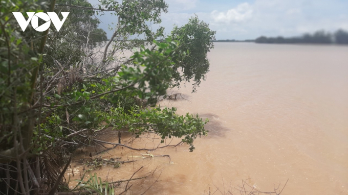 Bãi bùn tại xã Phú Thạnh, huyện Tân Phú Đông mất dần do tình trạng khai thác cát trái phép hoạt động gần bờ