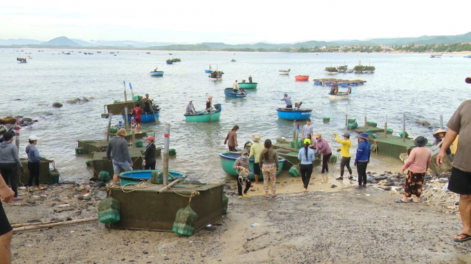 So sợ ảnh hưởng bão Noru, ngư dân làng biển Phú Yên chủ động đưa tài sản vật nuôi giá trị đến nơi an toàn.