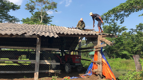 Khu vực chuồng trại đang được tháo dỡ - Ảnh: THẾ THẾ