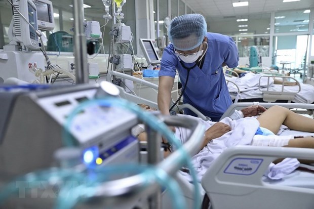 Ảnh minh họa. (Ảnh: TTXVN/Vietnam+)